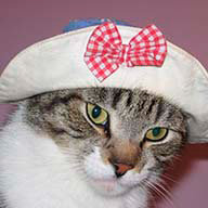 А_Завелицкая