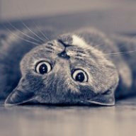 Мильковская А