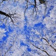 Р_Эшонкулова