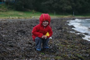 Каменьщикова А