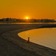 Тараканова Л