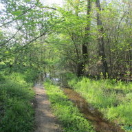 Л_Разинцева