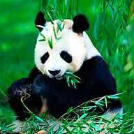 Р_Колпакова