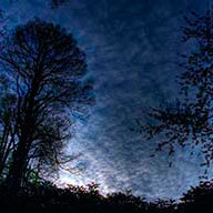 Кручинина В