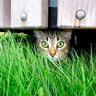 Т_Балбарова