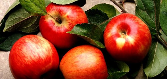 Ржаная шарлотка с яблоками