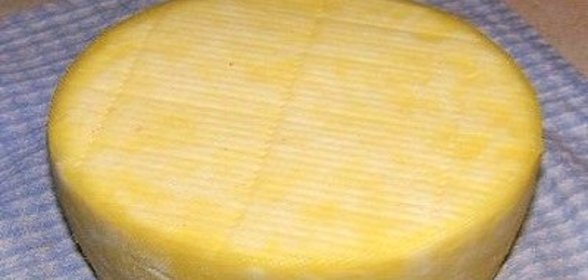 Голландский твердый сыр в домашних условиях