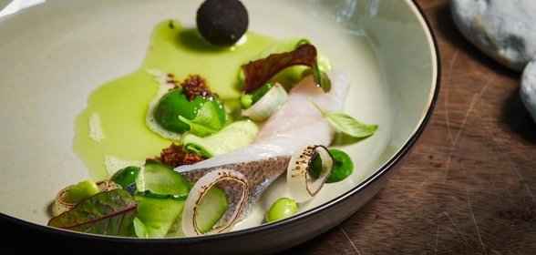 Закуска из ладожского сига с ложным картофелем под вуалью из свежего огурца