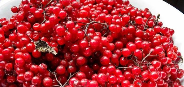 Калиновый сок