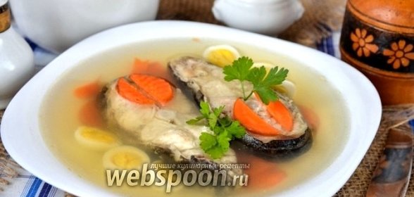 Заливное из сома