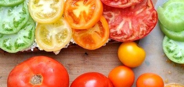 Брускетта с помидорами и творожной намазкой из базилика