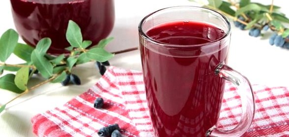 Компот из жимолости
