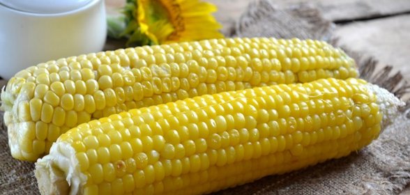 Кукуруза, запеченная в фольге на мангале