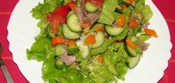 Салат из свежих овощей с мясом