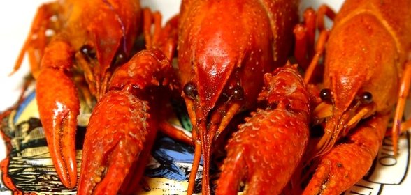 Раки панированные