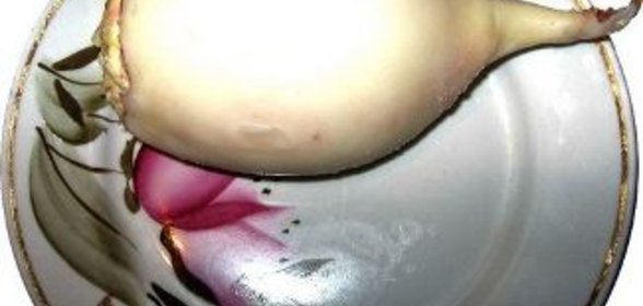 Закуска Фабрика чудес