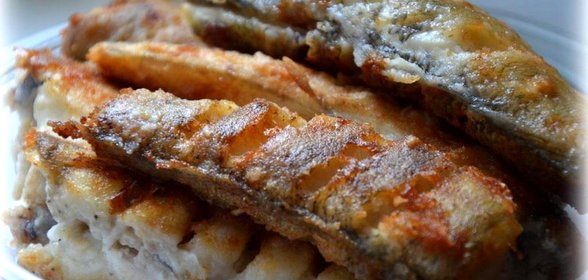 Рыба нототения жареная