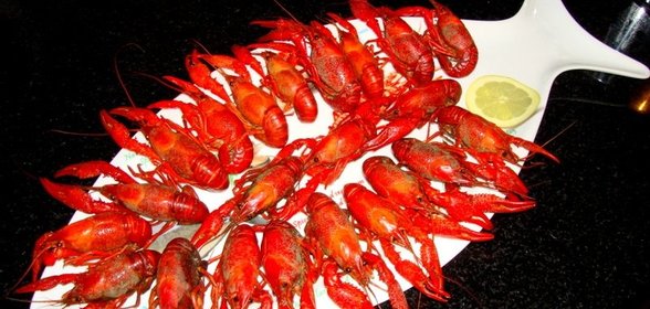Раки