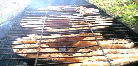 Шашлык из рыбы на костре