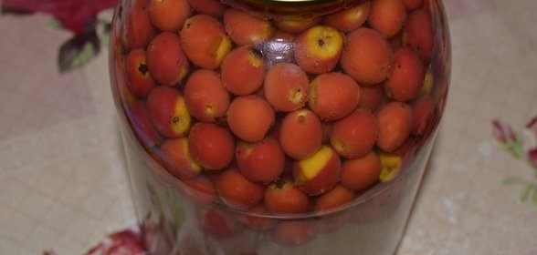 Компот из боярышника