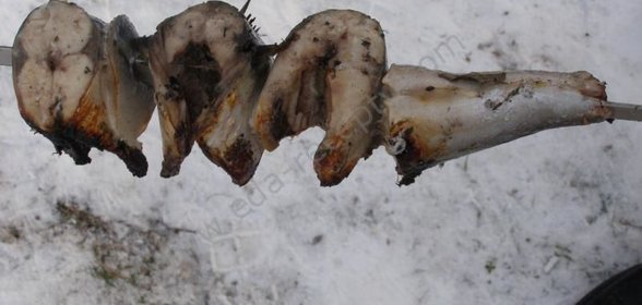 Шашлык из скумбрии