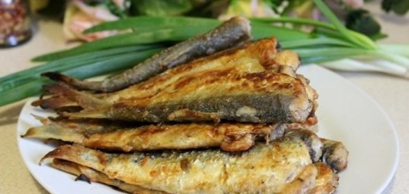 Жареная салака