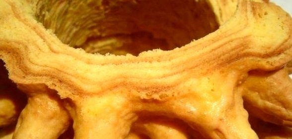 Торт Шакотис