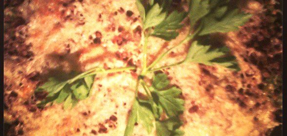 Запеканка из гречки с рыбой