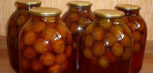 Закатка компота из слив
