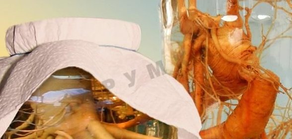 Настойка женьшеня