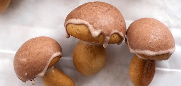 Грибочки в форме