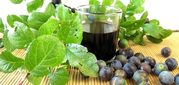 Вино из терновника