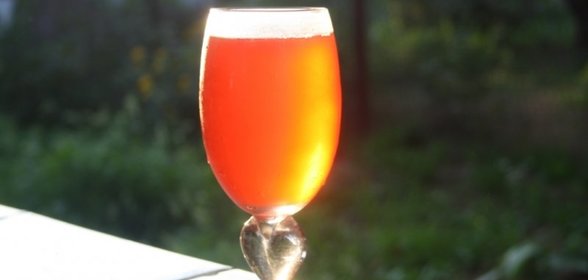 Компот из алычи, абрикос и летних ягод