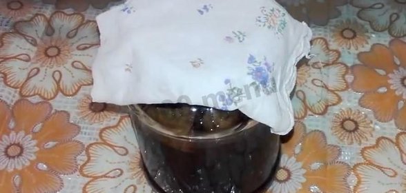Закваска для кваса на березовом соке