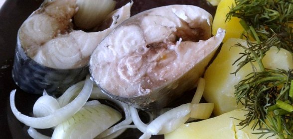 Маринованная скумбрия с луком в яблочном уксусе