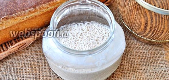 Домашняя закваска на ржаном солоде для хлеба