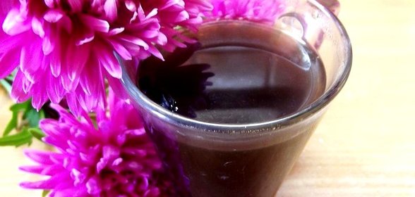 Горячий напиток из цикория с анисом
