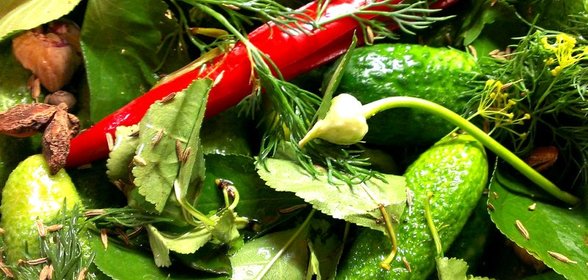 Острые малосольные огурцы на водке