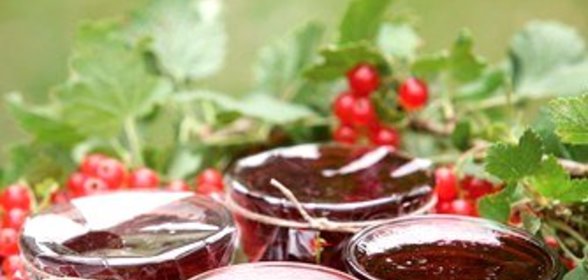 Желе из красной смородины