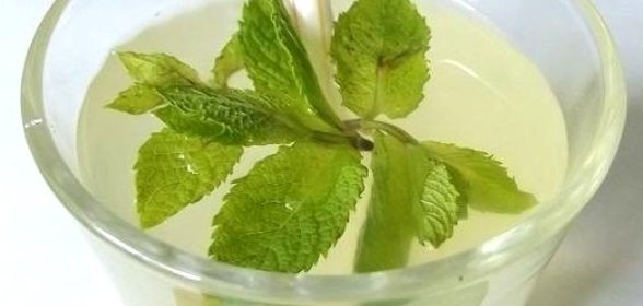 Мятный лимонад