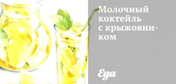 Молочный коктейль с крыжовником