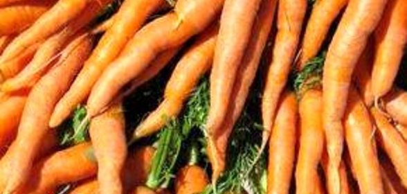 Овощной квас