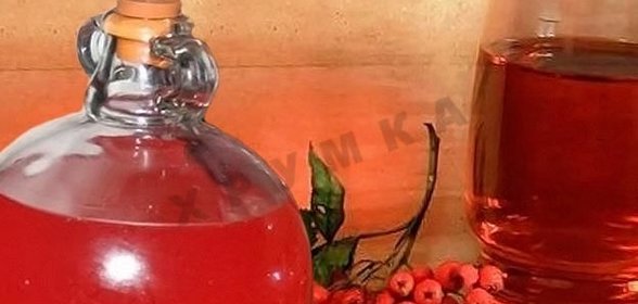Домашнее вино из красной рябины