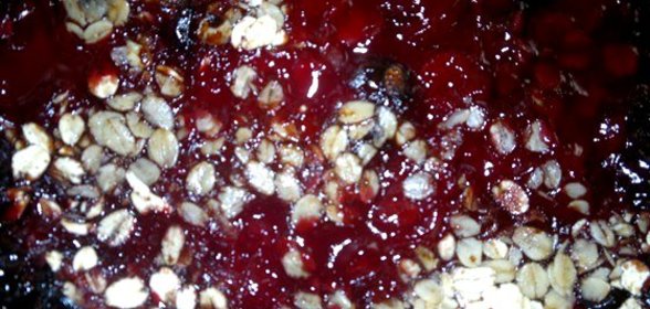Печеные сливы с лесными ягодами, виски и овсянкой