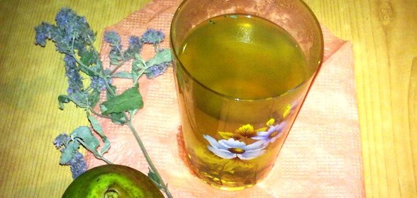 Компот из груш и мяты