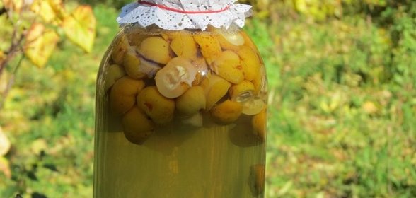 Компот из лимонника