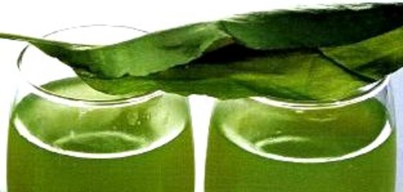 Кисель из щавеля