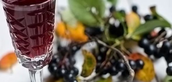 Настойка из черноплодной рябины на водке