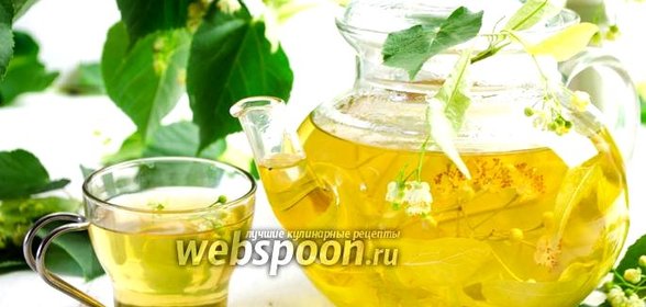Чай из липы