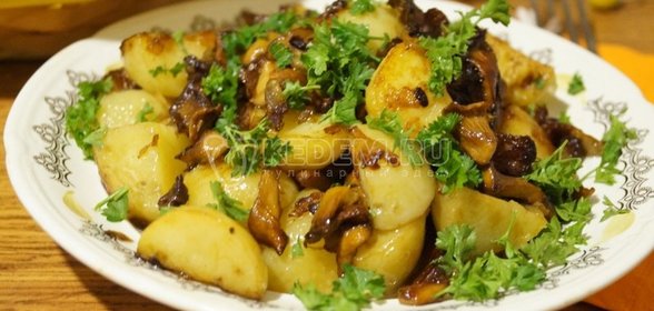Лисички жареные с картофелем
